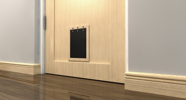 Cat Flap Installation Addlestone, New Haw, Woodham, KT15