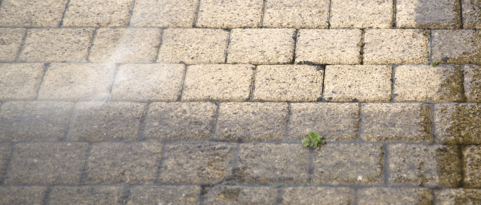 flagging and patios KT15