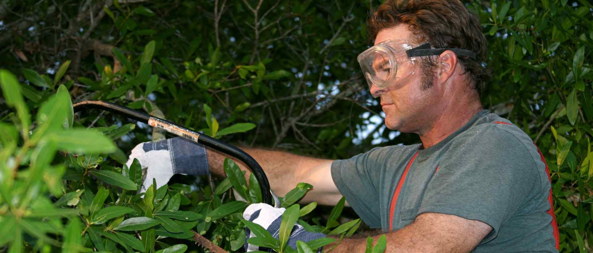 garden clearance KT15